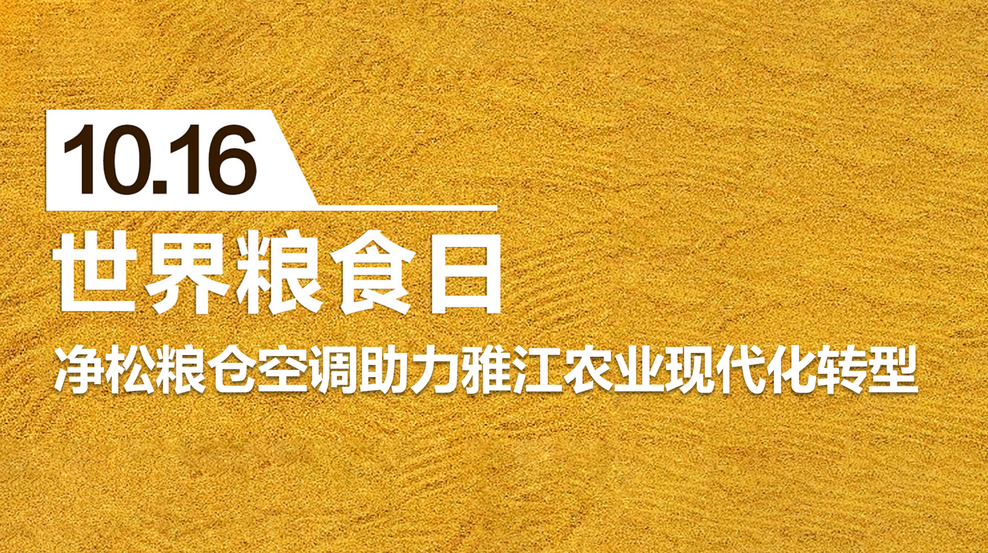 糧安天下，凈松糧倉空調(diào)助力雅江農(nóng)業(yè)現(xiàn)代化轉(zhuǎn)型